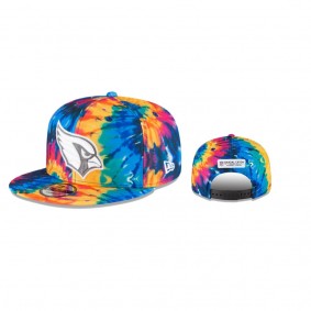 Arizona Cardinals Multi-Color 2020 NFL Crucial Catch 9FIFTY Snapback Adjustable Hat